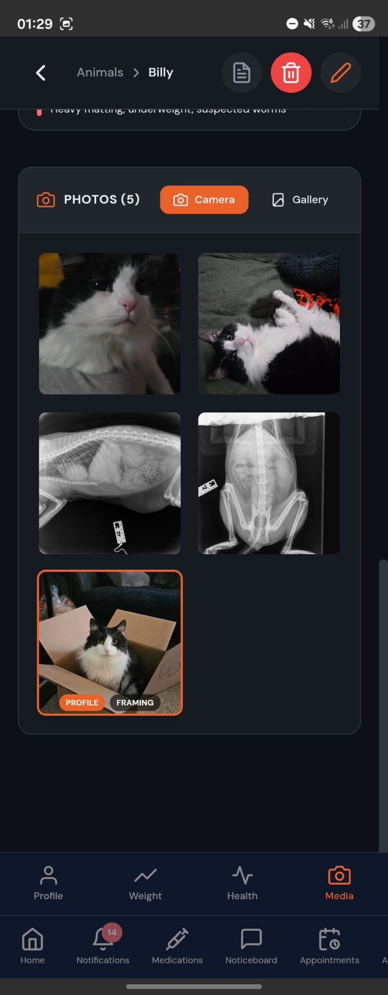 RescueDB app — the animal list on a phone