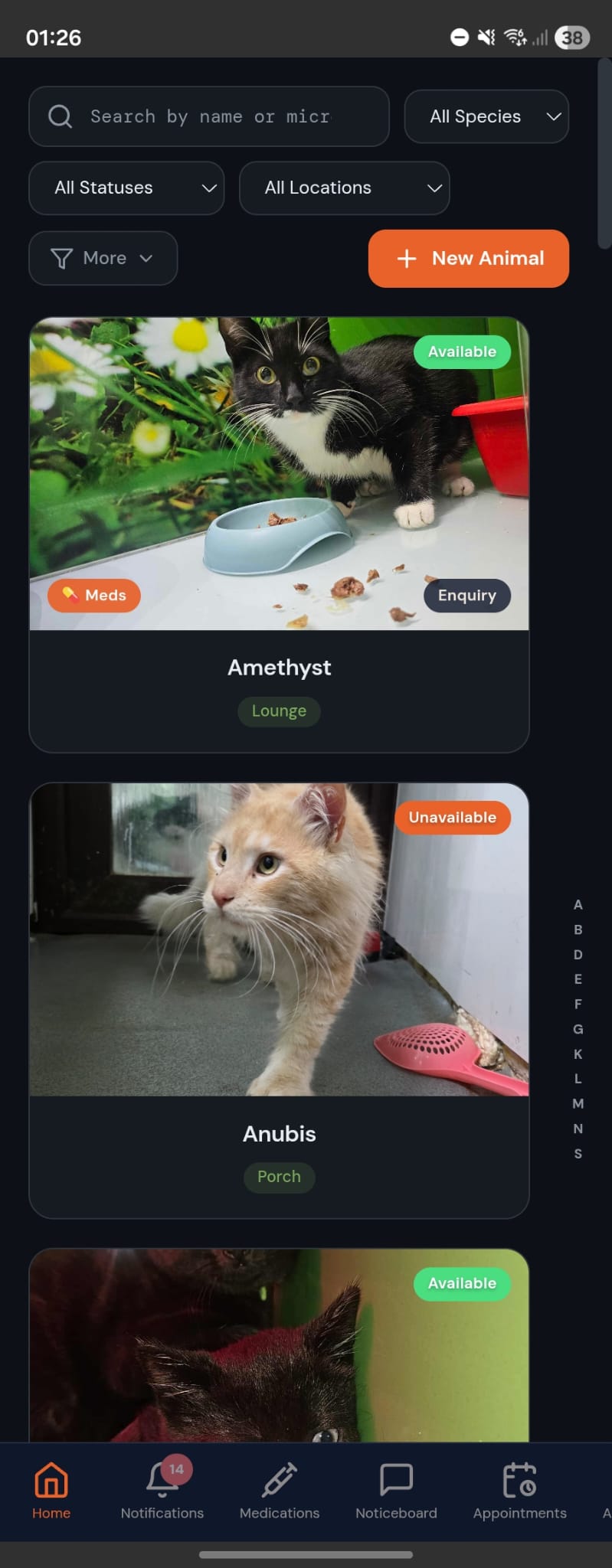 RescueDB app — an animal profile on a phone